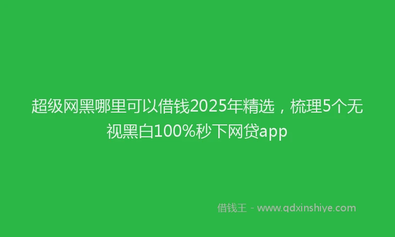 超级网黑哪里可以借钱2025年精选，梳理5个无视黑白100%秒下网贷app