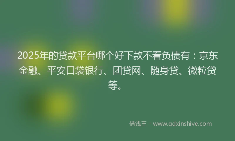 2025年的贷款平台哪个好下款不看负债有：京东金融、平安口袋银行、团贷网、随身贷、微粒贷等。