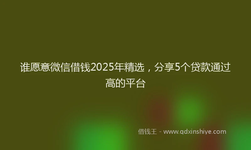 谁愿意微信借钱2025年精选，分享5个贷款通过高的平台
