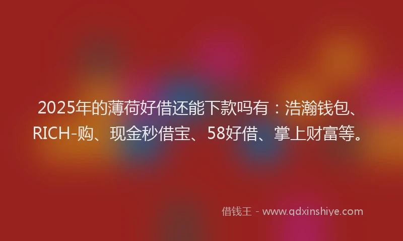 2025年的薄荷好借还能下款吗有：浩瀚钱包、RICH-购、现金秒借宝、58好借、掌上财富等。