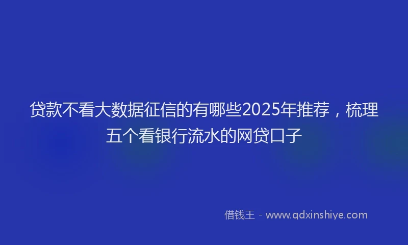 贷款不看大数据征信的有哪些2025年推荐，梳理五个看银行流水的网贷口子