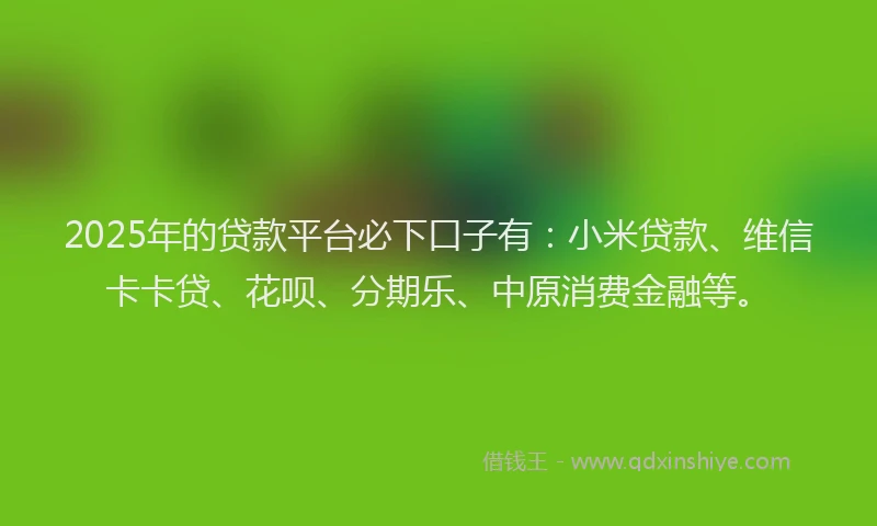 2025年的贷款平台必下口子有：小米贷款、维信卡卡贷、花呗、分期乐、中原消费金融等。