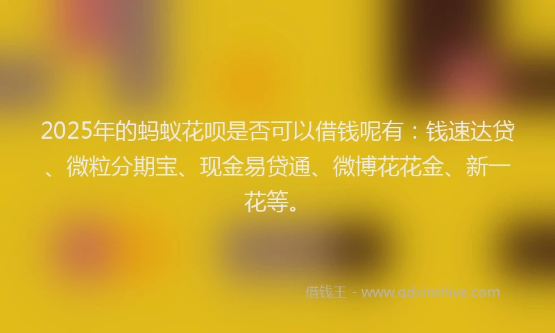 2025年的蚂蚁花呗是否可以借钱呢有：钱速达贷、微粒分期宝、现金易贷通、微博花花金、新一花等。