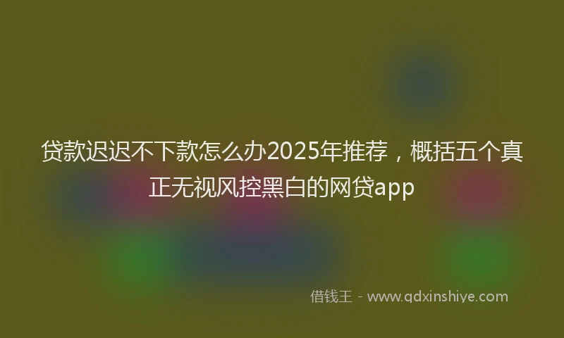 贷款迟迟不下款怎么办2025年推荐，概括五个真正无视风控黑白的网贷app