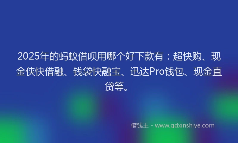 2025年的蚂蚁借呗用哪个好下款有：超快购、现金侠快借融、钱袋快融宝、迅达Pro钱包、现金直贷等。