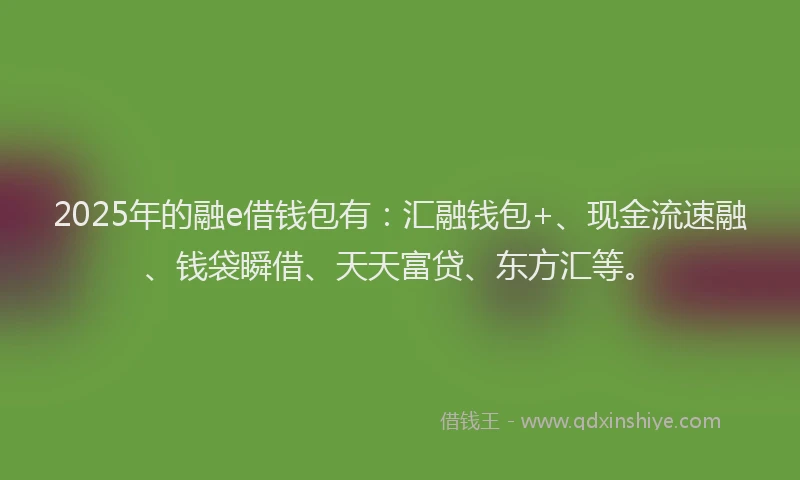 2025年的融e借钱包有：汇融钱包+、现金流速融、钱袋瞬借、天天富贷、东方汇等。