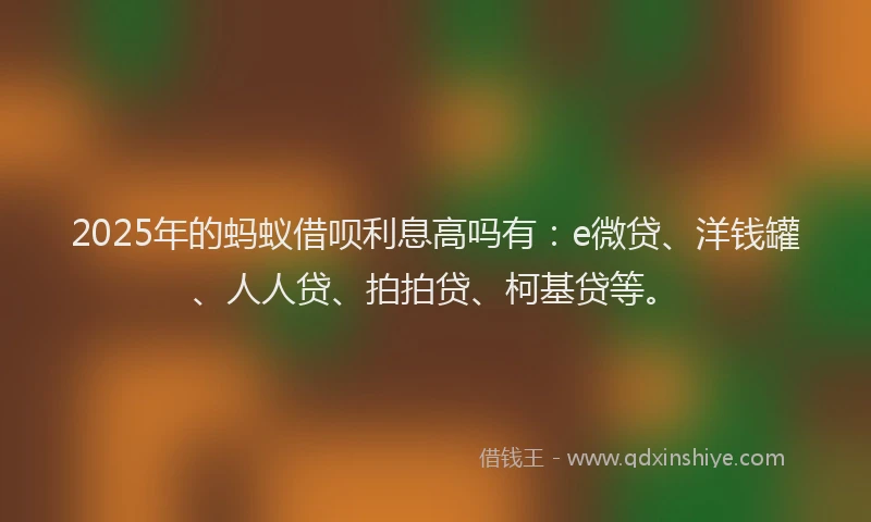 2025年的蚂蚁借呗利息高吗有：e微贷、洋钱罐、人人贷、拍拍贷、柯基贷等。