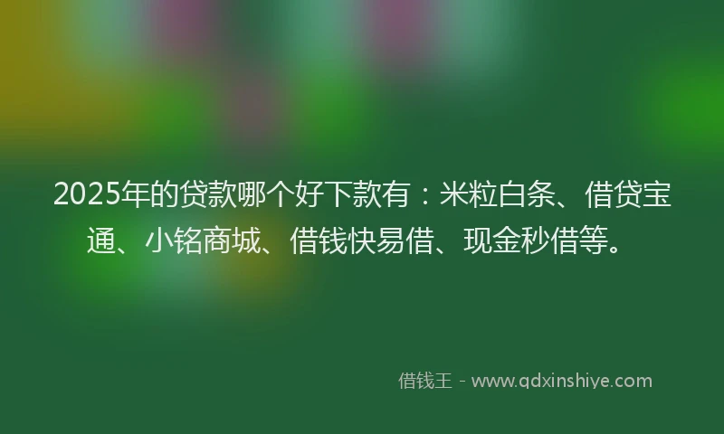 2025年的贷款哪个好下款有：米粒白条、借贷宝通、小铭商城、借钱快易借、现金秒借等。