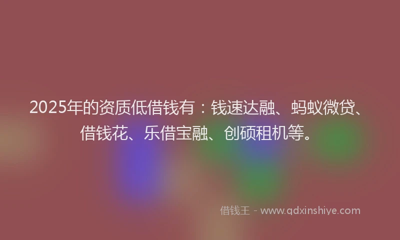 2025年的资质低借钱有:钱速达融、蚂蚁微贷、借钱花、乐借宝融、创硕租机等。