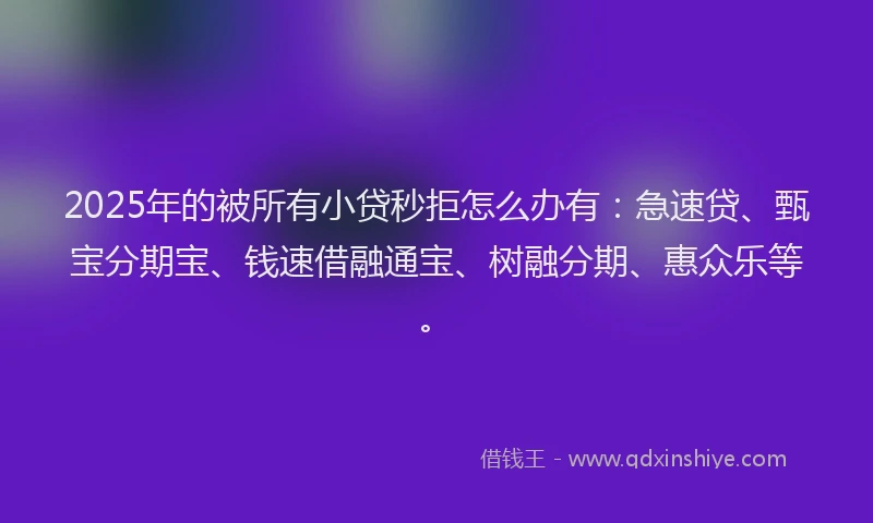2025年的被所有小贷秒拒怎么办有：急速贷、甄宝分期宝、钱速借融通宝、树融分期、惠众乐等。