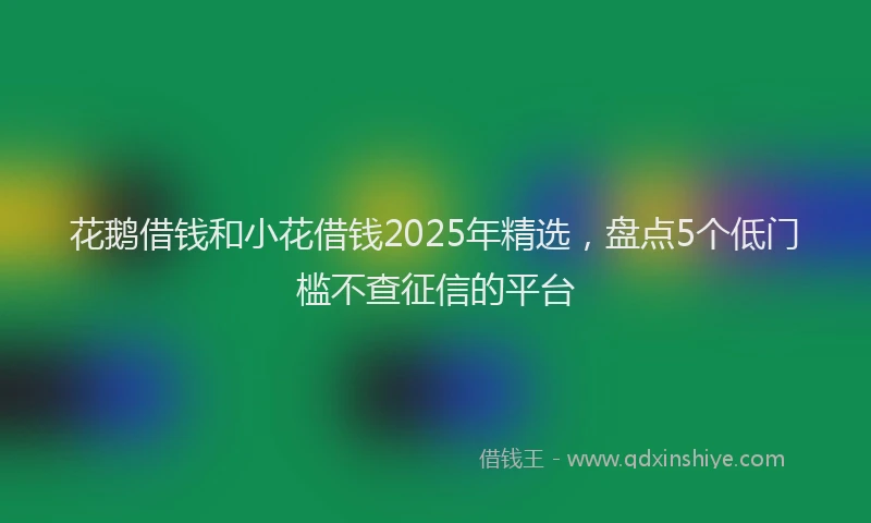 花鹅借钱和小花借钱2025年精选，盘点5个低门槛不查征信的平台