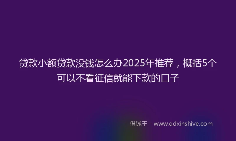 贷款小额贷款没钱怎么办2025年推荐，概括5个可以不看征信就能下款的口子
