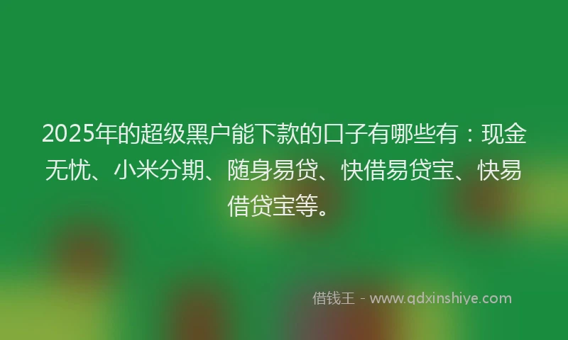 2025年的超级黑户能下款的口子有哪些有：现金无忧、小米分期、随身易贷、快借易贷宝、快易借贷宝等。