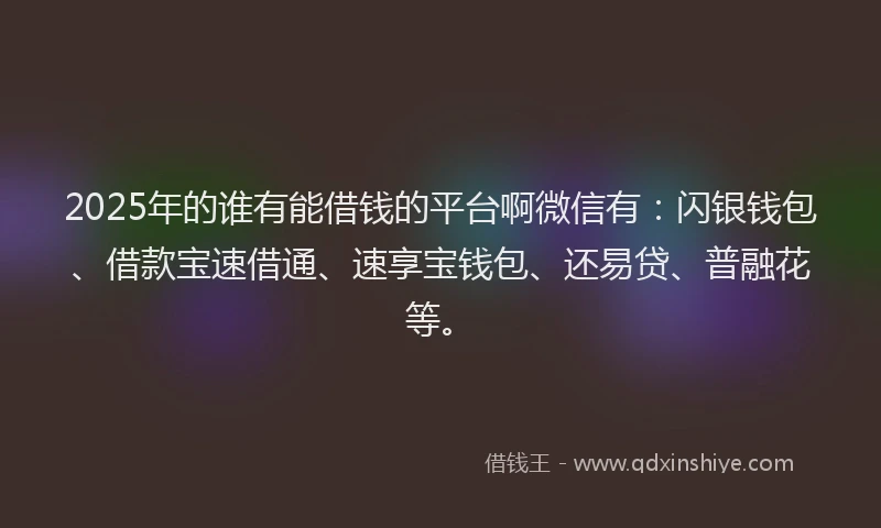 2025年的谁有能借钱的平台啊微信有：闪银钱包、借款宝速借通、速享宝钱包、还易贷、普融花等。