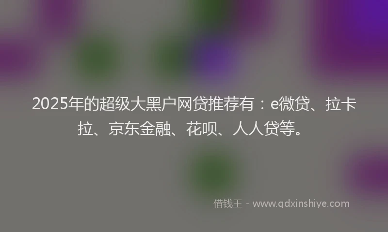 2025年的超级大黑户网贷推荐有：e微贷、拉卡拉、京东金融、花呗、人人贷等。