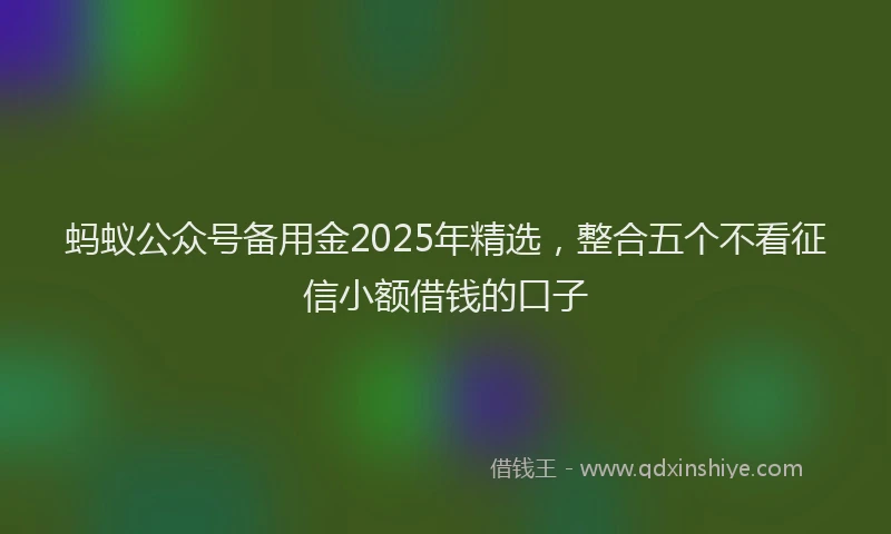 蚂蚁公众号备用金2025年精选，整合五个不看征信小额借钱的口子
