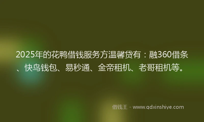 2025年的花鸭借钱服务方温馨贷有：融360借条、快鸟钱包、易秒通、金帝租机、老哥租机等。