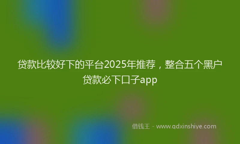 贷款比较好下的平台2025年推荐，整合五个黑户贷款必下口子app