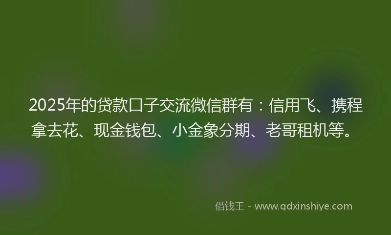 2025年的贷款口子交流微信群有：信用飞、携程拿去花、现金钱包、小金象分期、老哥租机等。