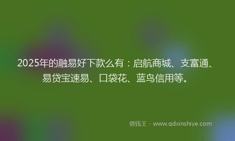 2025年的融易好下款么有：启航商城、支富通、易贷宝速易、口袋花、蓝鸟信用等。