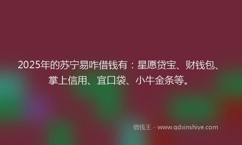 2025年的苏宁易咋借钱有：星愿贷宝、财钱包、掌上信用、宜口袋、小牛金条等。