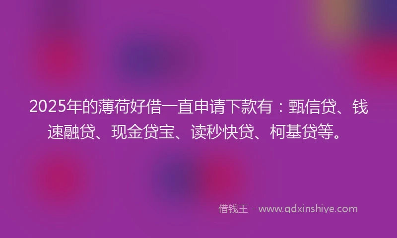 2025年的薄荷好借一直申请下款有：甄信贷、钱速融贷、现金贷宝、读秒快贷、柯基贷等。