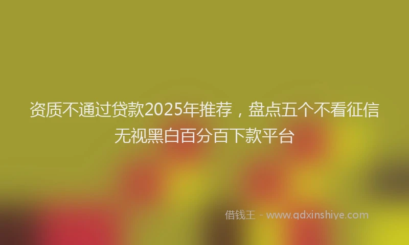资质不通过贷款2025年推荐，盘点五个不看征信无视黑白百分百下款平台