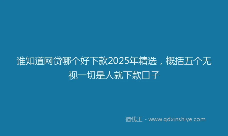 谁知道网贷哪个好下款2025年精选，概括五个无视一切是人就下款口子