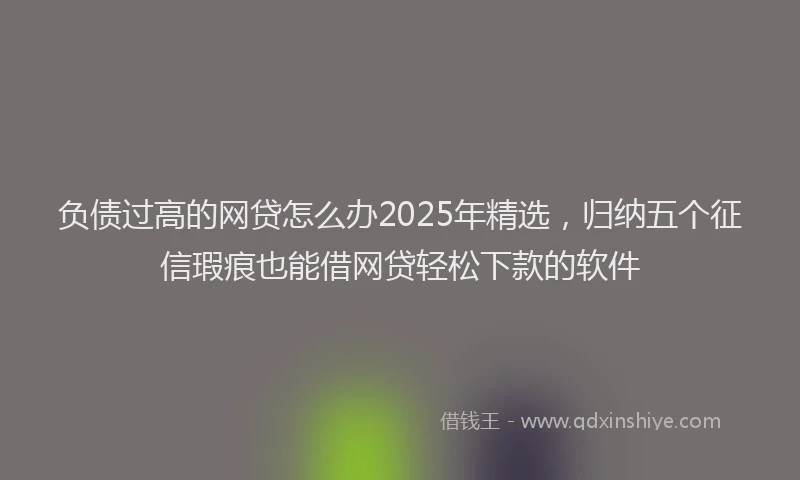 负债过高的网贷怎么办2025年精选，归纳五个征信瑕疵也能借网贷轻松下款的软件