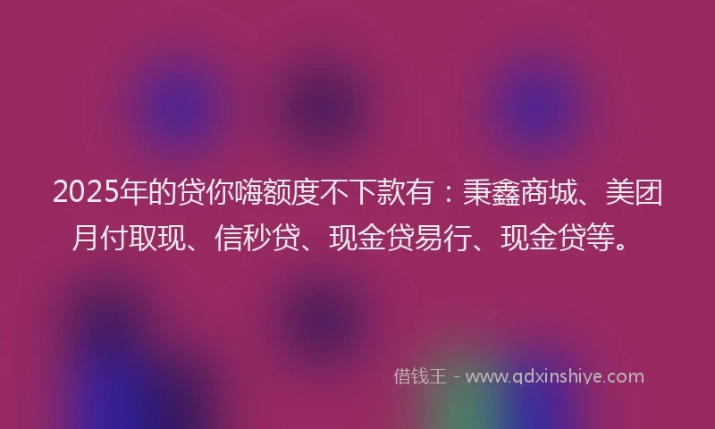 2025年的贷你嗨额度不下款有：秉鑫商城、美团月付取现、信秒贷、现金贷易行、现金贷等。