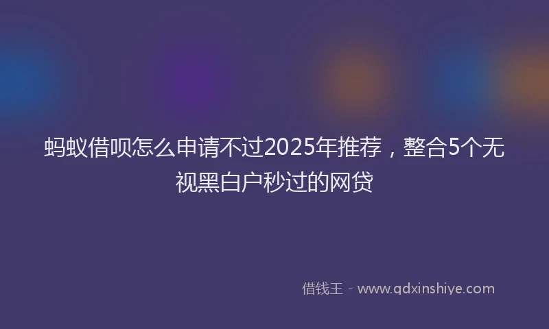 蚂蚁借呗怎么申请不过2025年推荐，整合5个无视黑白户秒过的网贷