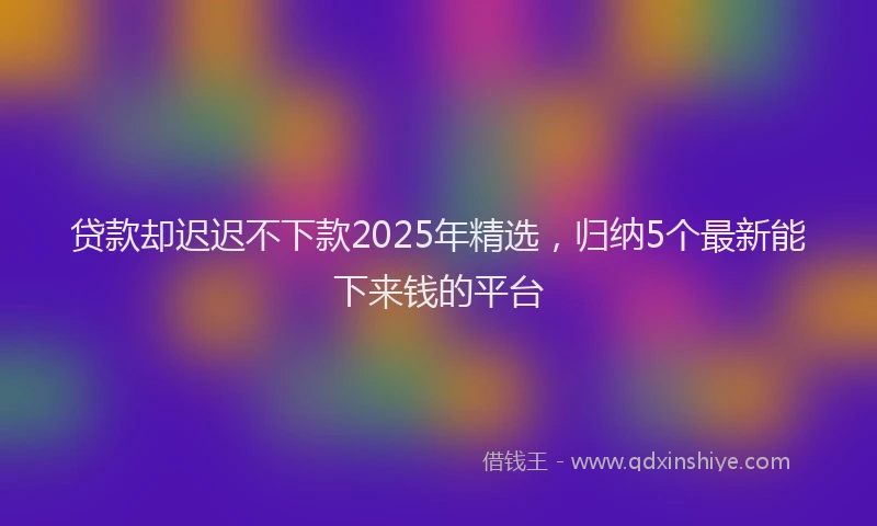 贷款却迟迟不下款2025年精选，归纳5个最新能下来钱的平台