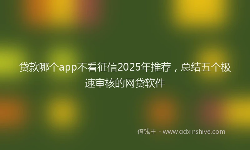 贷款哪个app不看征信2025年推荐，总结五个极速审核的网贷软件