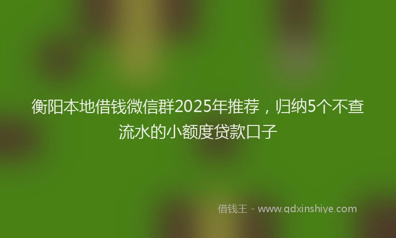 衡阳本地借钱微信群2025年推荐，归纳5个不查流水的小额度贷款口子