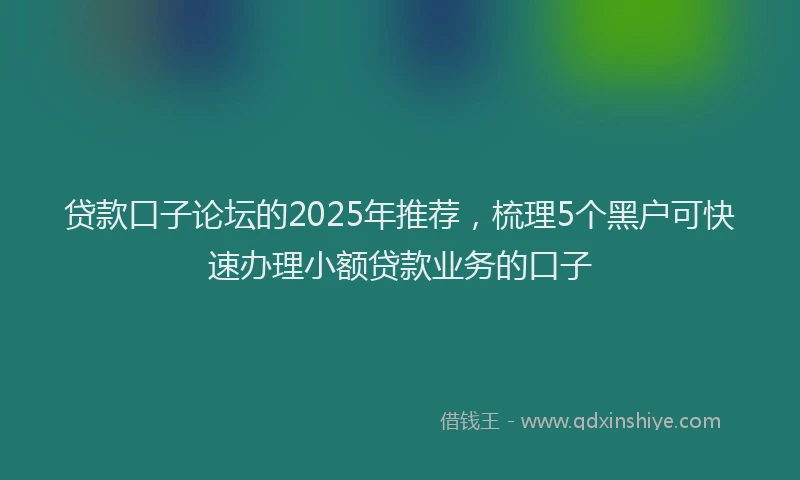 贷款口子论坛的2025年推荐，梳理5个黑户可快速办理小额贷款业务的口子