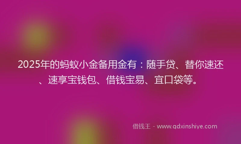 2025年的蚂蚁小金备用金有：随手贷、替你速还、速享宝钱包、借钱宝易、宜口袋等。