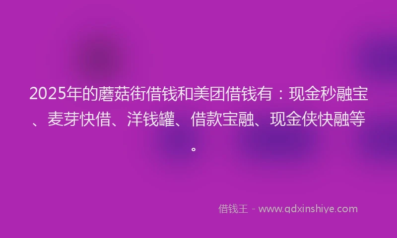 2025年的蘑菇街借钱和美团借钱有：现金秒融宝、麦芽快借、洋钱罐、借款宝融、现金侠快融等。