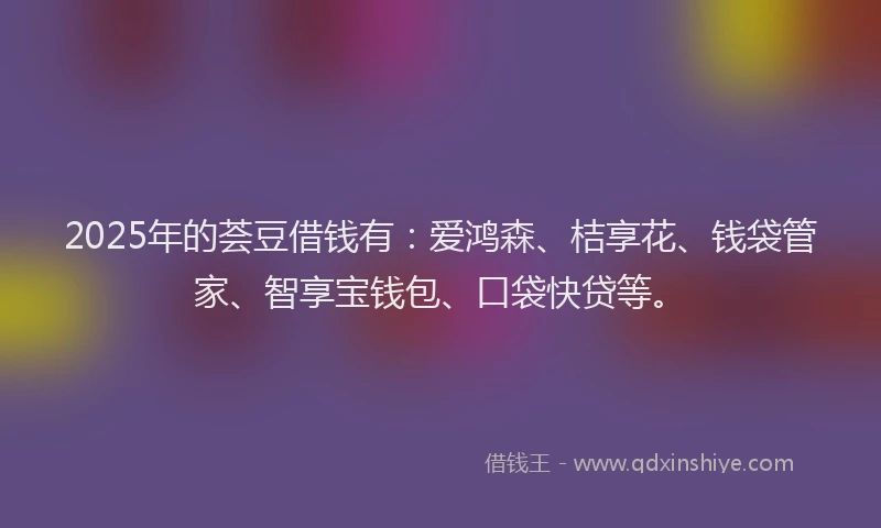 2025年的荟豆借钱有：爱鸿森、桔享花、钱袋管家、智享宝钱包、口袋快贷等。