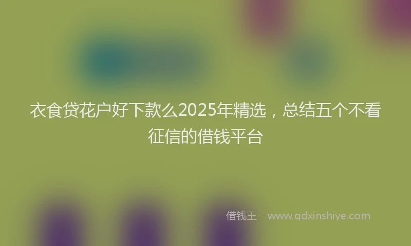 衣食贷花户好下款么2025年精选，总结五个不看征信的借钱平台