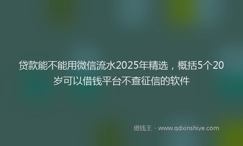 贷款能不能用微信流水2025年精选，概括5个20岁可以借钱平台不查征信的软件