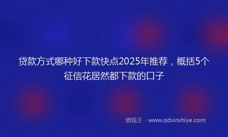 贷款方式哪种好下款快点2025年推荐，概括5个征信花居然都下款的口子