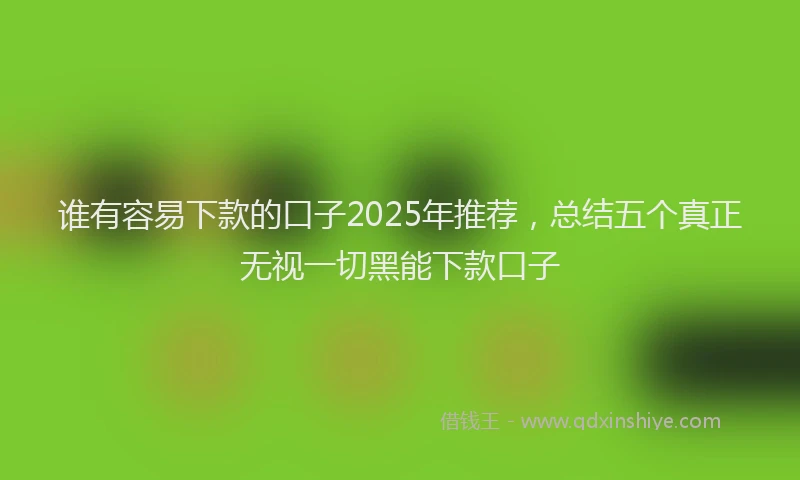 谁有容易下款的口子2025年推荐，总结五个真正无视一切黑能下款口子