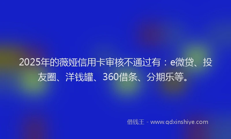 2025年的薇娅信用卡审核不通过有：e微贷、投友圈、洋钱罐、360借条、分期乐等。