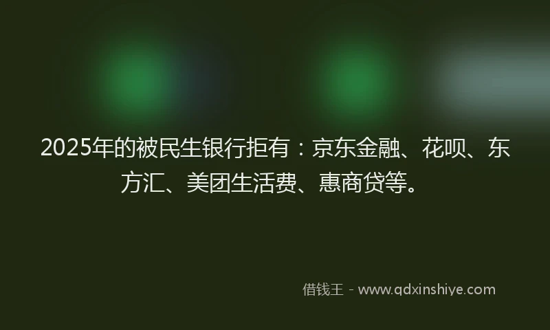 2025年的被民生银行拒有：京东金融、花呗、东方汇、美团生活费、惠商贷等。