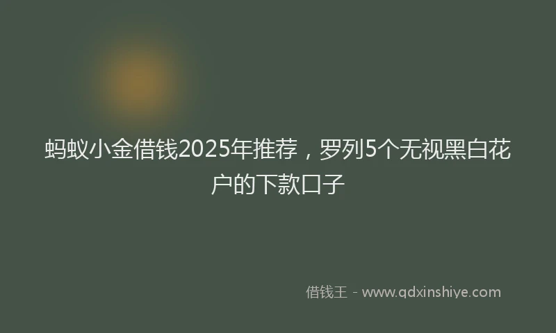 蚂蚁小金借钱2025年推荐，罗列5个无视黑白花户的下款口子