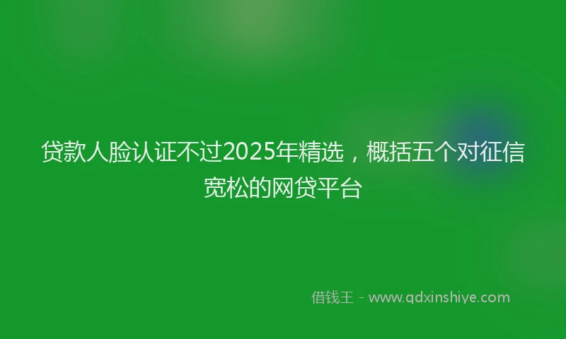 贷款人脸认证不过2025年精选，概括五个对征信宽松的网贷平台
