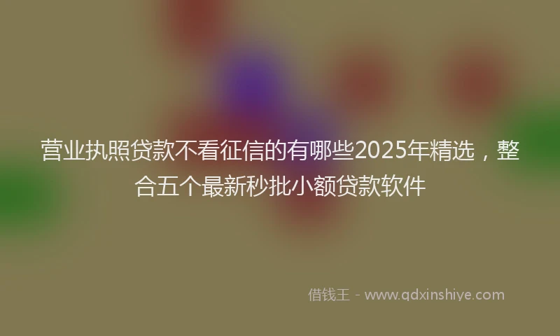 营业执照贷款不看征信的有哪些2025年精选，整合五个最新秒批小额贷款软件