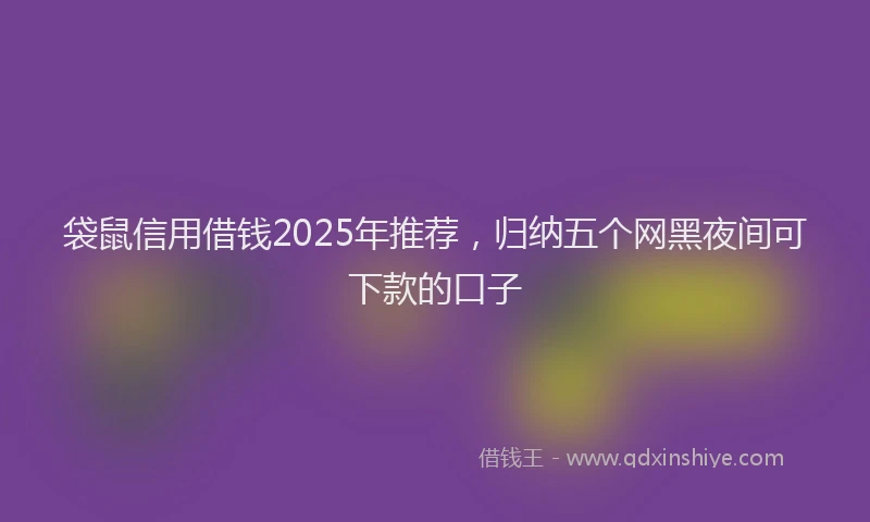 袋鼠信用借钱2025年推荐，归纳五个网黑夜间可下款的口子