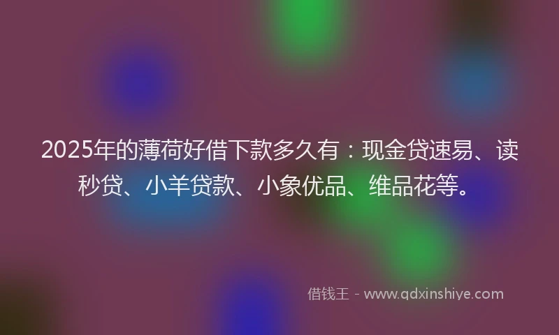 2025年的薄荷好借下款多久有：现金贷速易、读秒贷、小羊贷款、小象优品、维品花等。