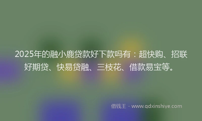 2025年的融小鹿贷款好下款吗有：超快购、招联好期贷、快易贷融、三枝花、借款易宝等。